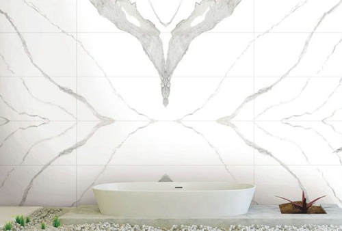 PADARA�ɴu�Ǆ���߀�������