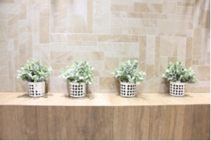 20161114 ICC�ɴu������׃���fǧ���پWÿ�ܳ�Ҏ���£�533_���D��.jpg